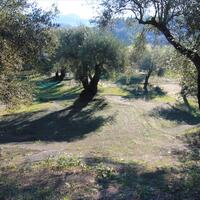 Island in Greece, Ionian Islands, Corfu, 670 sq.m.