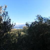Island in Greece, Ionian Islands, Corfu, 4000 sq.m.
