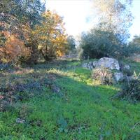 Island in Greece, Ionian Islands, Corfu, 2767 sq.m.