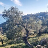 Island in Greece, Ionian Islands, Corfu, 2767 sq.m.