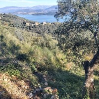 Island in Greece, Ionian Islands, Corfu, 2767 sq.m.