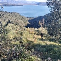 Island in Greece, Ionian Islands, Corfu, 2767 sq.m.