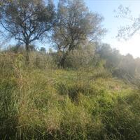 Остров в Греции, Ионические острова, Корфу, 4131 кв.м.