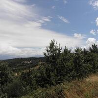 Остров в Греции, Ионические острова, Корфу, 15000 кв.м.
