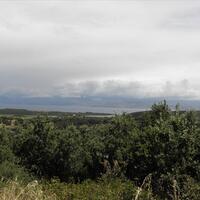 Остров в Греции, Ионические острова, Корфу, 15000 кв.м.