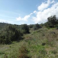 Island in Greece, Ionian Islands, Corfu, 4536 sq.m.