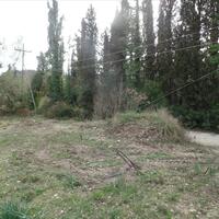 Island in Greece, Ionian Islands, Corfu, 35000 sq.m.