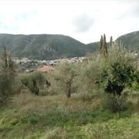 Island in Greece, Ionian Islands, Corfu, 35000 sq.m.