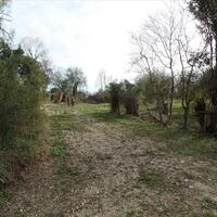 Island in Greece, Ionian Islands, Corfu, 35000 sq.m.