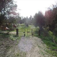 Island in Greece, Ionian Islands, Corfu, 35000 sq.m.
