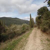 Island in Greece, Ionian Islands, Corfu, 35000 sq.m.