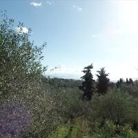 Island in Greece, Ionian Islands, Corfu, 4900 sq.m.