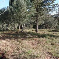 Island in Greece, Ionian Islands, Corfu, 4900 sq.m.