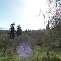 Island in Greece, Ionian Islands, Corfu, 4900 sq.m.