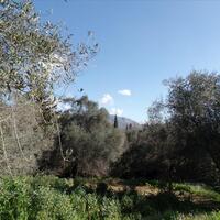Island in Greece, Ionian Islands, Corfu, 4900 sq.m.