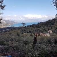 Island in Greece, Ionian Islands, Corfu, 4000 sq.m.