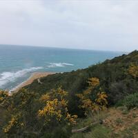 Island in Greece, Ionian Islands, Corfu, 205000 sq.m.