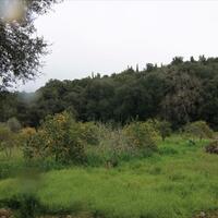 Island in Greece, Ionian Islands, Corfu, 205000 sq.m.