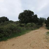 Island in Greece, Ionian Islands, Corfu, 205000 sq.m.