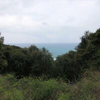 Island in Greece, Ionian Islands, Corfu, 205000 sq.m.