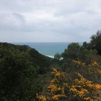 Island in Greece, Ionian Islands, Corfu, 205000 sq.m.