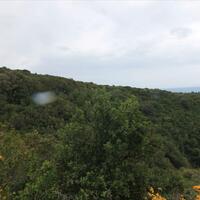 Island in Greece, Ionian Islands, Corfu, 205000 sq.m.