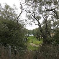 Island in Greece, Ionian Islands, Corfu, 10000 sq.m.