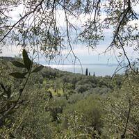 Island in Greece, Ionian Islands, Corfu, 9000 sq.m.