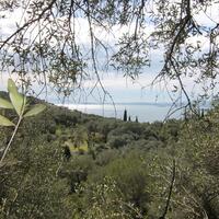 Island in Greece, Ionian Islands, Corfu, 9000 sq.m.