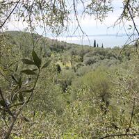 Island in Greece, Ionian Islands, Corfu, 9000 sq.m.