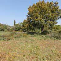 Island in Greece, Ionian Islands, Corfu, 6500 sq.m.