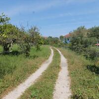 Island in Greece, Ionian Islands, Corfu, 1000 sq.m.