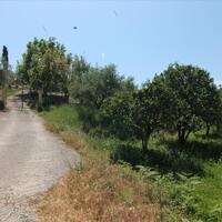 Island in Greece, Ionian Islands, Corfu, 1000 sq.m.