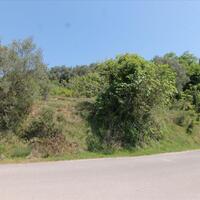 Island in Greece, Ionian Islands, Corfu, 1500 sq.m.