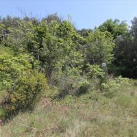 Island in Greece, Ionian Islands, Corfu, 1500 sq.m.