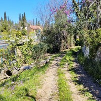Island in Greece, Ionian Islands, Corfu, 750 sq.m.