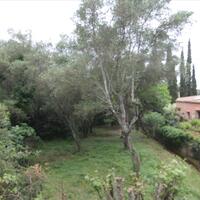 Island in Greece, Ionian Islands, Corfu, 750 sq.m.