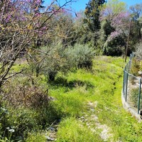 Island in Greece, Ionian Islands, Corfu, 750 sq.m.