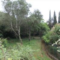 Island in Greece, Ionian Islands, Corfu, 750 sq.m.
