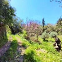 Island in Greece, Ionian Islands, Corfu, 750 sq.m.