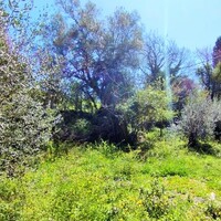 Island in Greece, Ionian Islands, Corfu, 750 sq.m.
