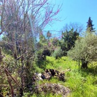 Island in Greece, Ionian Islands, Corfu, 750 sq.m.