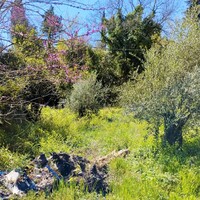 Island in Greece, Ionian Islands, Corfu, 750 sq.m.