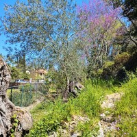 Island in Greece, Ionian Islands, Corfu, 750 sq.m.