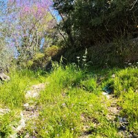 Island in Greece, Ionian Islands, Corfu, 750 sq.m.