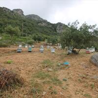 Island in Greece, Ionian Islands, Corfu, 3700 sq.m.
