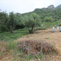 Island in Greece, Ionian Islands, Corfu, 3700 sq.m.