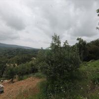 Island in Greece, Ionian Islands, Corfu, 3700 sq.m.