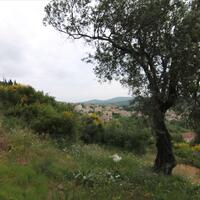 Island in Greece, Ionian Islands, Corfu, 3700 sq.m.