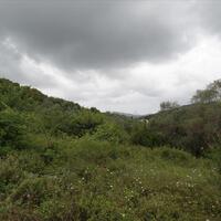 Island in Greece, Ionian Islands, Corfu, 15000 sq.m.